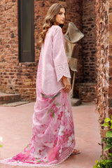 Farasha | Printed Essentials | Dovella