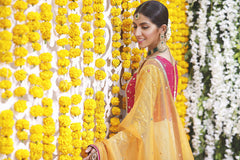 Wahajmbegum | Mehrunnisa Wedding Formals | CHATAPATI ANARKALI