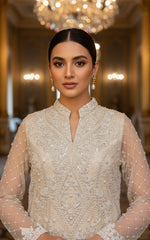 Threads and Motifs | Formal Dresses 25 | Net Embroidered Shirt With Trouser