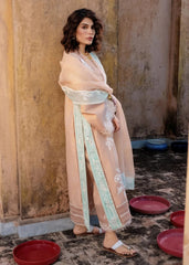 Crimson | MITTI WINTER PRET 25 | Nawabi Notes | Zayan Clothing UK