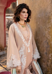 Crimson | MITTI WINTER PRET 25 | Nawabi Notes | Zayan Clothing UK