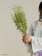 Zara Shahjahan | Coco Lawn 26 | Lune-2A