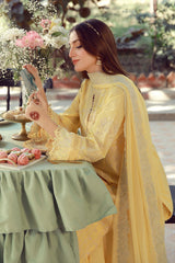 Sahar | Festive Edit 26 | Butterlicious