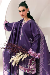 Qalamkar | Q Prints Winter 26 | QPW-09 (A) Ramsha