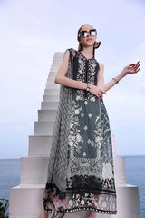 Noor by Saadia Asad | Luxe Printkari | D2-B
