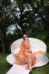 Noor by Saadia Asad | Luxe Printkari | D4-A