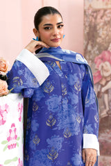Afsanah | Basics Raw Silk | Ornate Gem AR-109