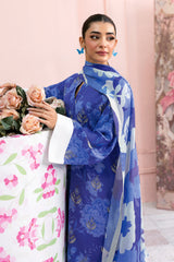 Afsanah | Basics Raw Silk | Ornate Gem AR-109
