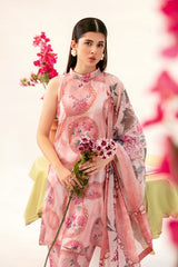 Afsanah | Ready to Wear | Pink Tint AP-07