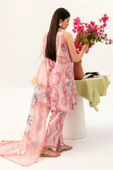Afsanah | Ready to Wear | Pink Tint AP-07