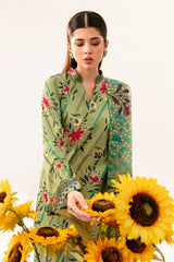 Afsanah | Ready to Wear | Forest green AP-06