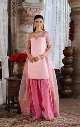 Maya | Dilbara Festive Pret 26 | RYLA