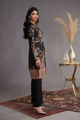 Shamaeel Ansari | Winter Festive 25 | WFE-10