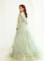 Dastoor | Nora Festive Festive 23 | Maysa