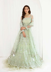 Dastoor | Nora Festive Festive 23 | Maysa