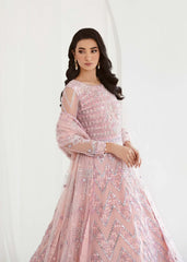 Dastoor | Nora Festive Festive 23 | Daneen