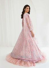 Dastoor | Nora Festive Festive 23 | Daneen