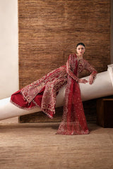 Emaan Adeel | Starlit Jewels | Ruby Veil
