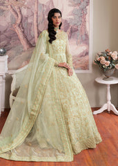Dastoor | Airah Festive 25 | Opaline