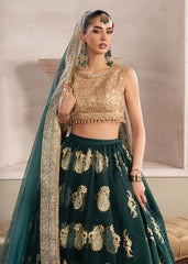 Dastoor | Airah Festive 25 | Aurelia