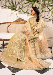 Inayat | Festive Formals | BREWING-MATCHA