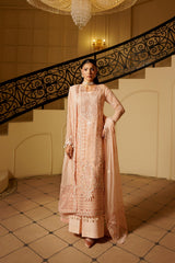 Maryams | Aarzu Formals | MINA-ARZ-9002