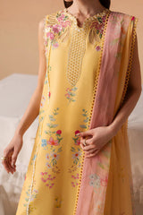 Afrozeh | The Haze 26 | Evania Yellow
