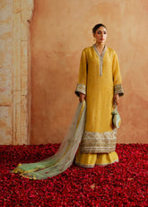 Mahgul | Chanderi Eid Edit | Amber