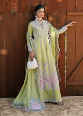 Zarizaa | Aura of Flora | MOSS
