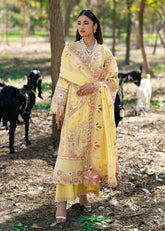 Zarizaa | Aura of Flora | HONEY