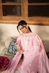 Fozia Khalid | Noor e Dawat | Dil E Gulab