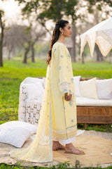 Xenia Formals | Sun Seeking | ARVYN