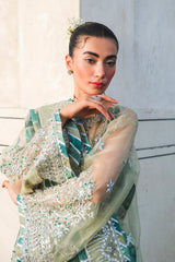Raeesa Premium | Zauj Formals | AAK - 06
