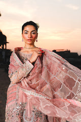 Raeesa Premium | Zauj Formals 25 | AAK - 03