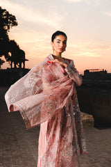 Raeesa Premium | Zauj Formals 25 | AAK - 03