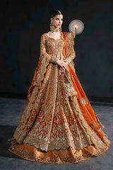 Akbar Aslam | Bridal Dresses | Zinaria