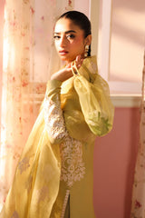 Maria B | Luxury Winter Pret 25 | DW-PF25-34-Light Green