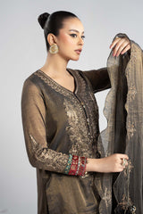 Maria B | Luxury Winter Pret 25 | DW-W25-01-Black