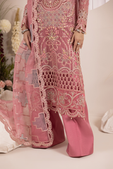 Diara Couture | Aaraish Formals | SALEHA - SF-09