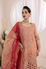 Diara Couture | Aaraish Formals | NOSHEEN - US-645