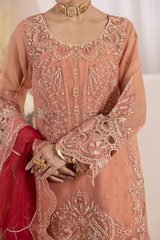 Diara Couture | Aaraish Formals | NOSHEEN - US-645