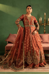 Diara Couture | Abrish Wedding Formals | ANARKALI