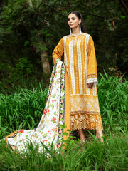 Mahnur | Hazel Winter 24 | ELYSE
