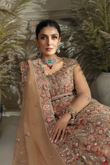 Elan | Wedding Festive 24 | MAHARANI (EC24-04)