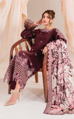 Asifa and Nabeel | Winter Meraki 24 | Elysian-MW-12