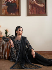 Faiza Faisal | Solene Luxury Velvets | NOIR