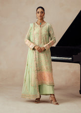 Fressia Premium | Premium Chiffon | FSU5614