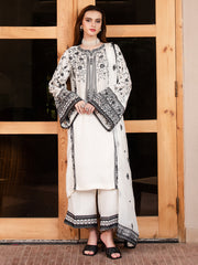 Faiza Faisal | Signature Pret | AMBER