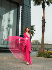 Ain | Raya Luxury Formals | AN-165 GARNET
