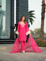 Ain | Raya Luxury Formals | AN-165 GARNET